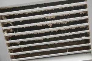 Plant City Duct Cleaning
